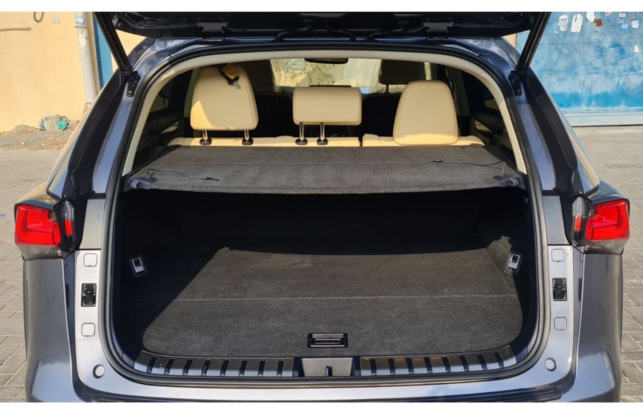 Lexus NX300 F Sport 2.0L