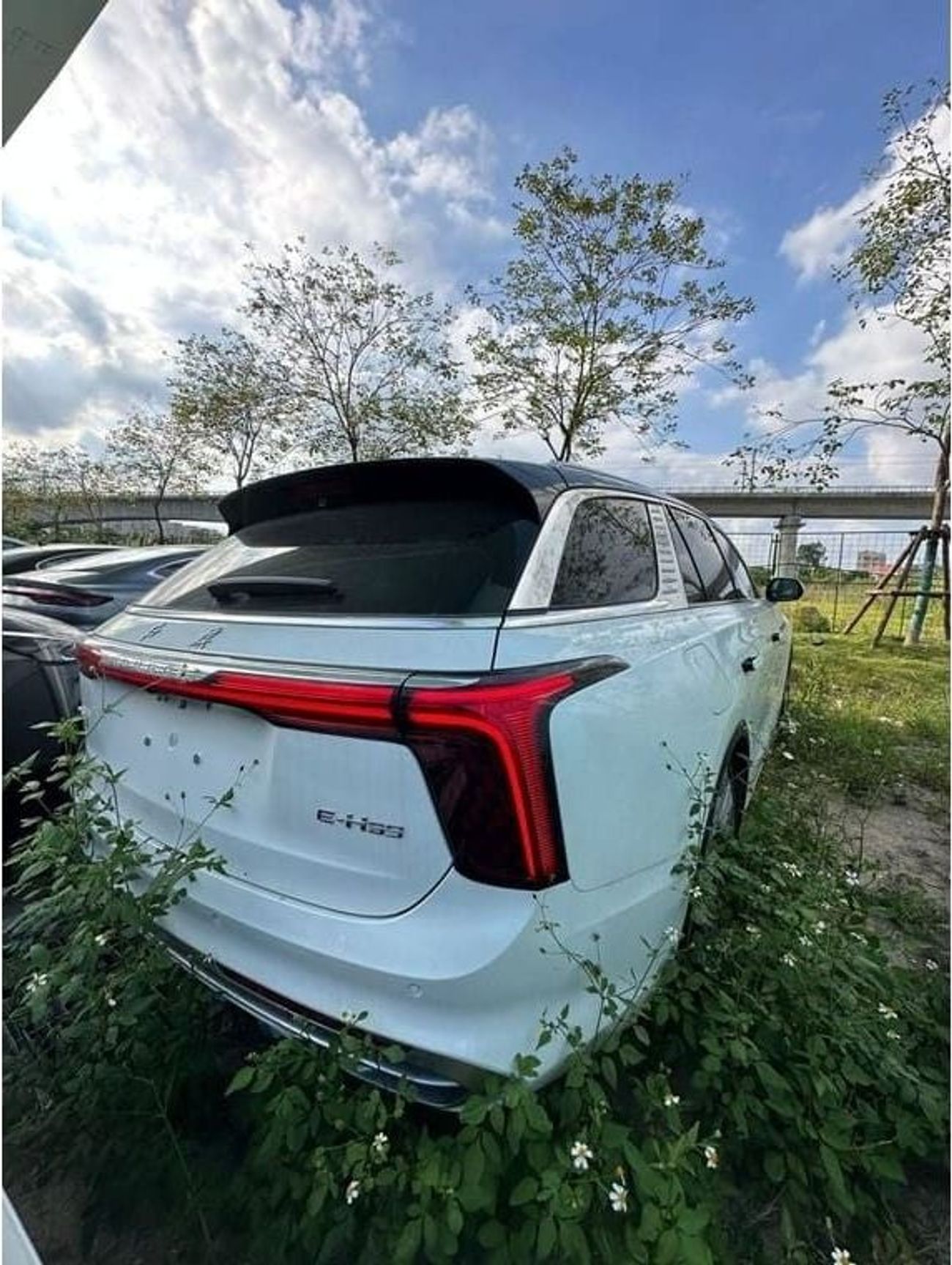 HONGQI EHS9 Hongqi EHS9 Standard 6 Seater