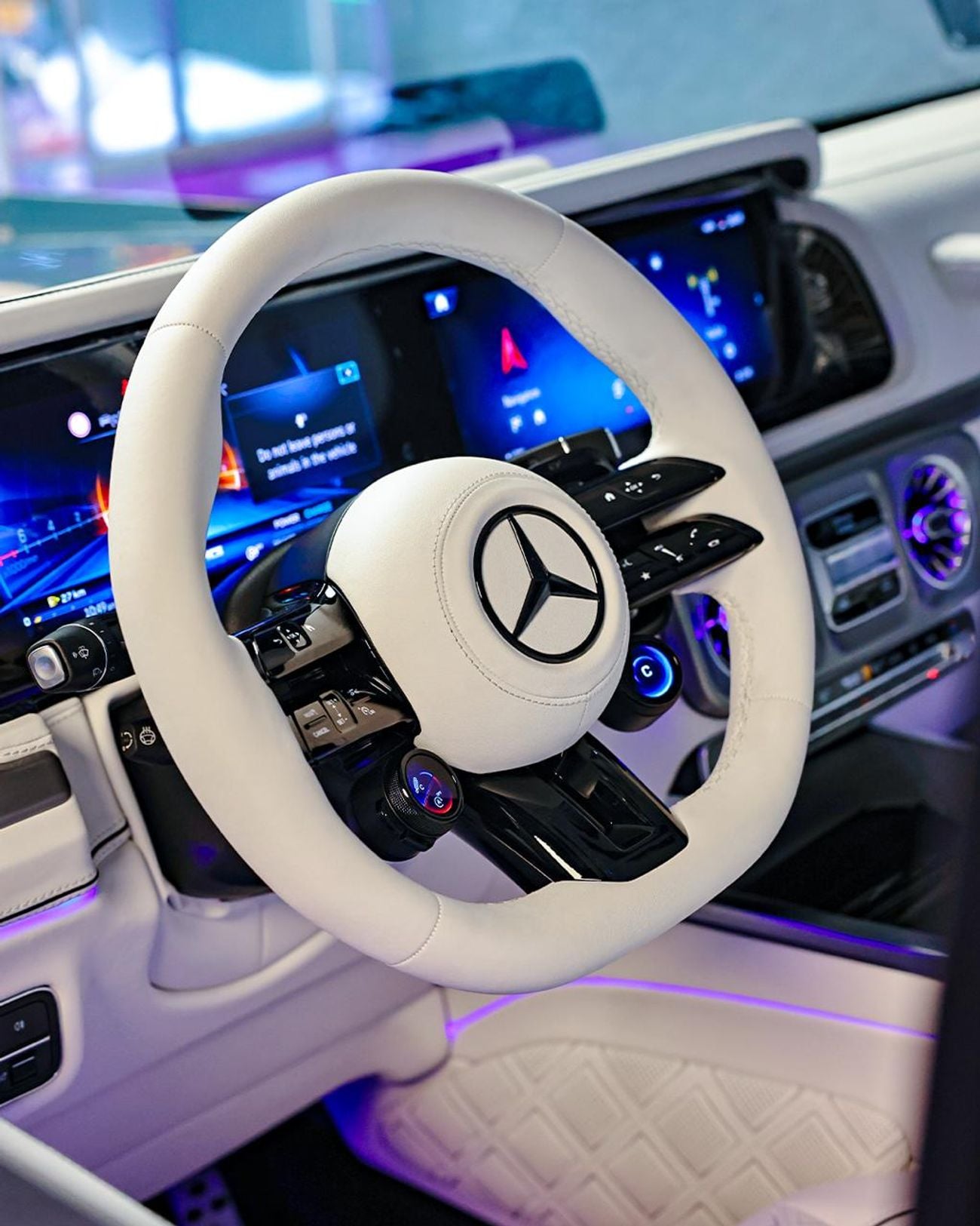 برابوس 800 - مرسيدس-AMG G 63 800 With VIP Seats