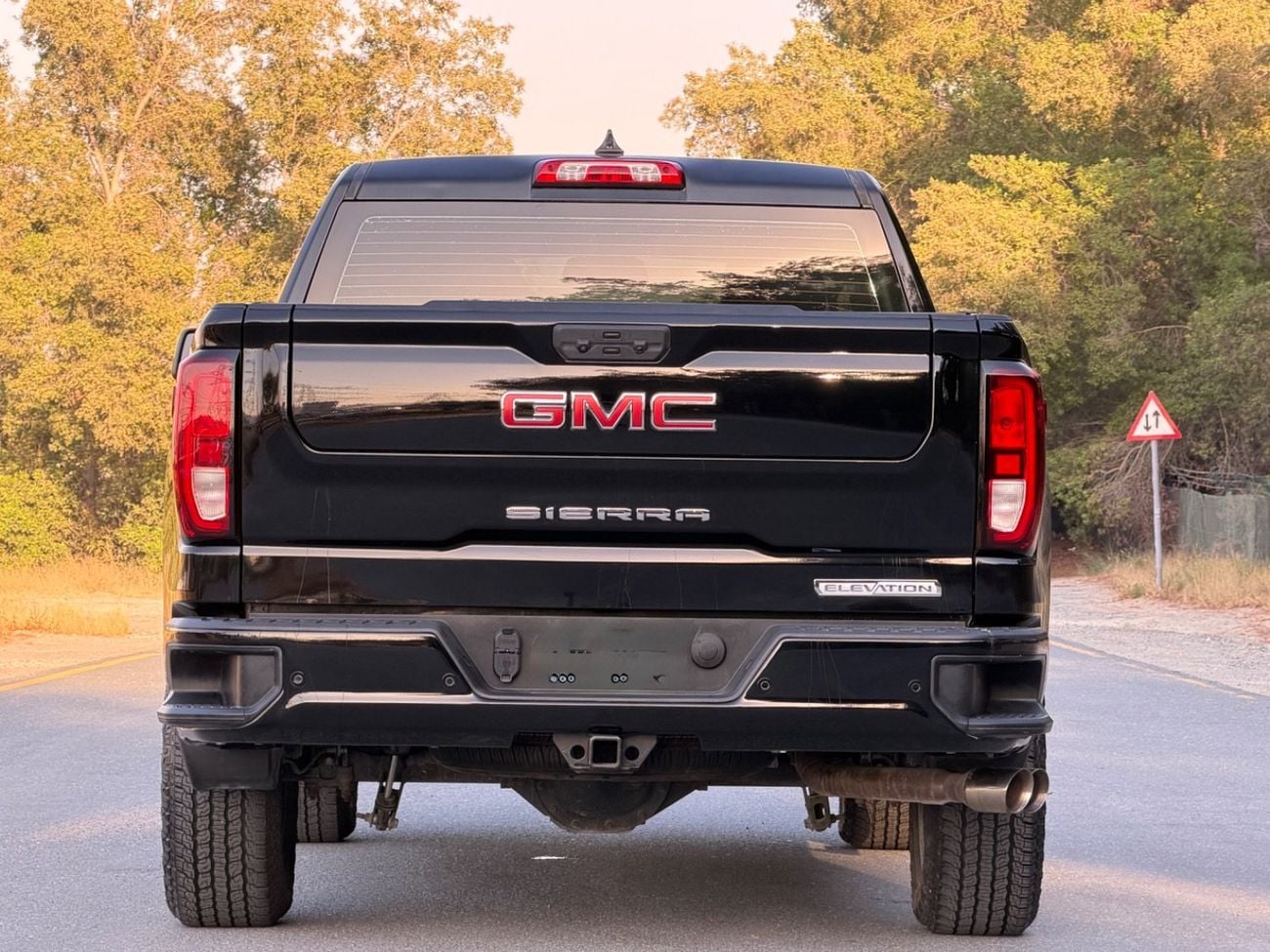 GMC Sierra 1500 REG/CAB ELEVATION