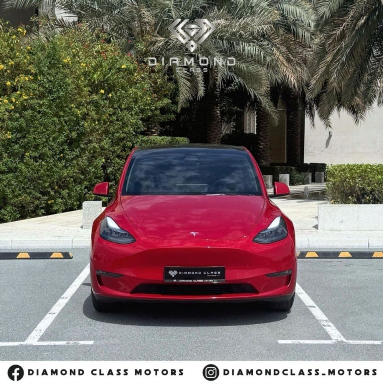 Tesla Model Y Long Range GCC