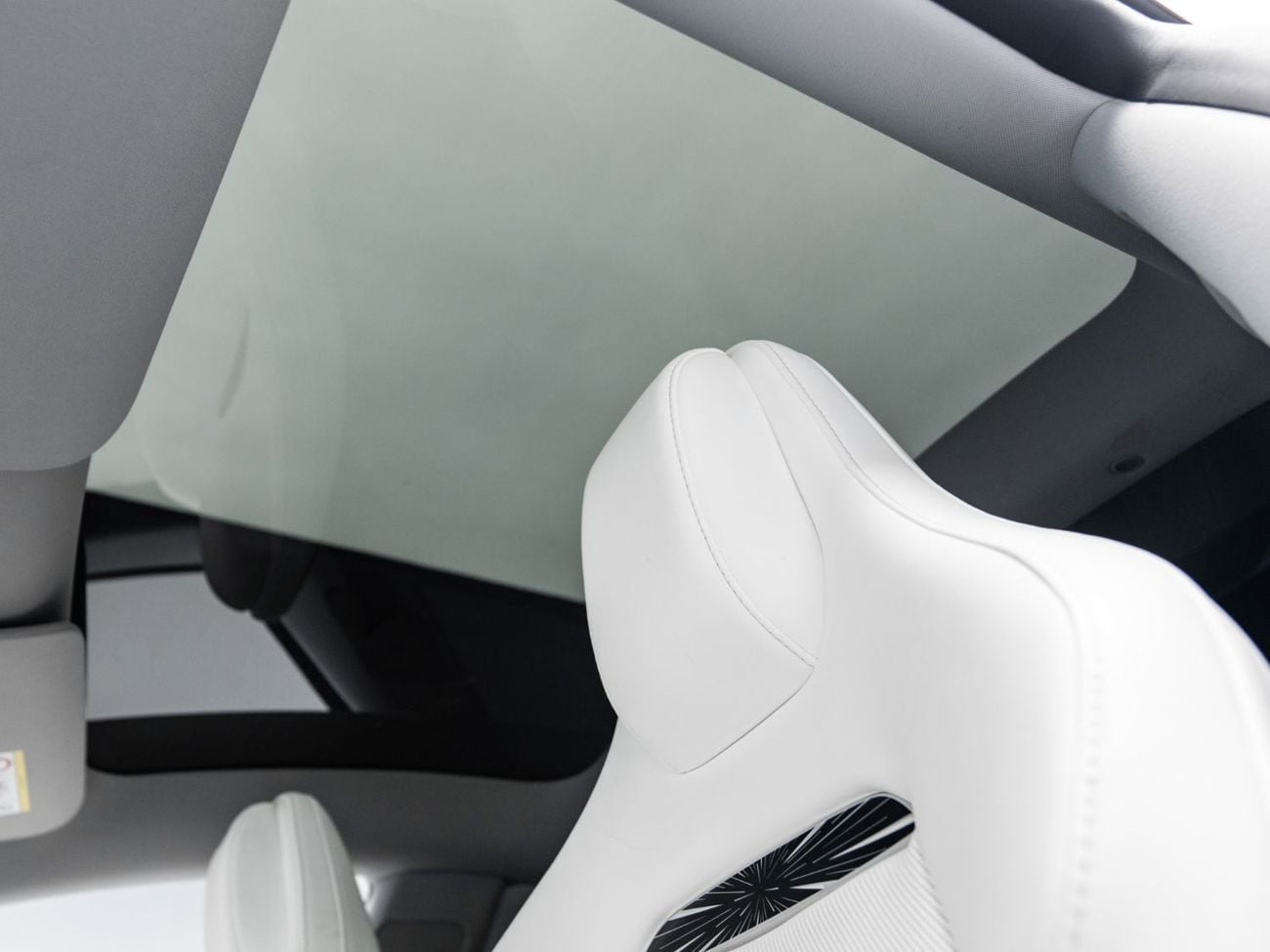 Tesla Model 3 PERFORMANCE BUY NOW, PAY 2027 | THE BLACKLINE STANDARD | Tesla Warranty, Carbon Fibre, GCC
