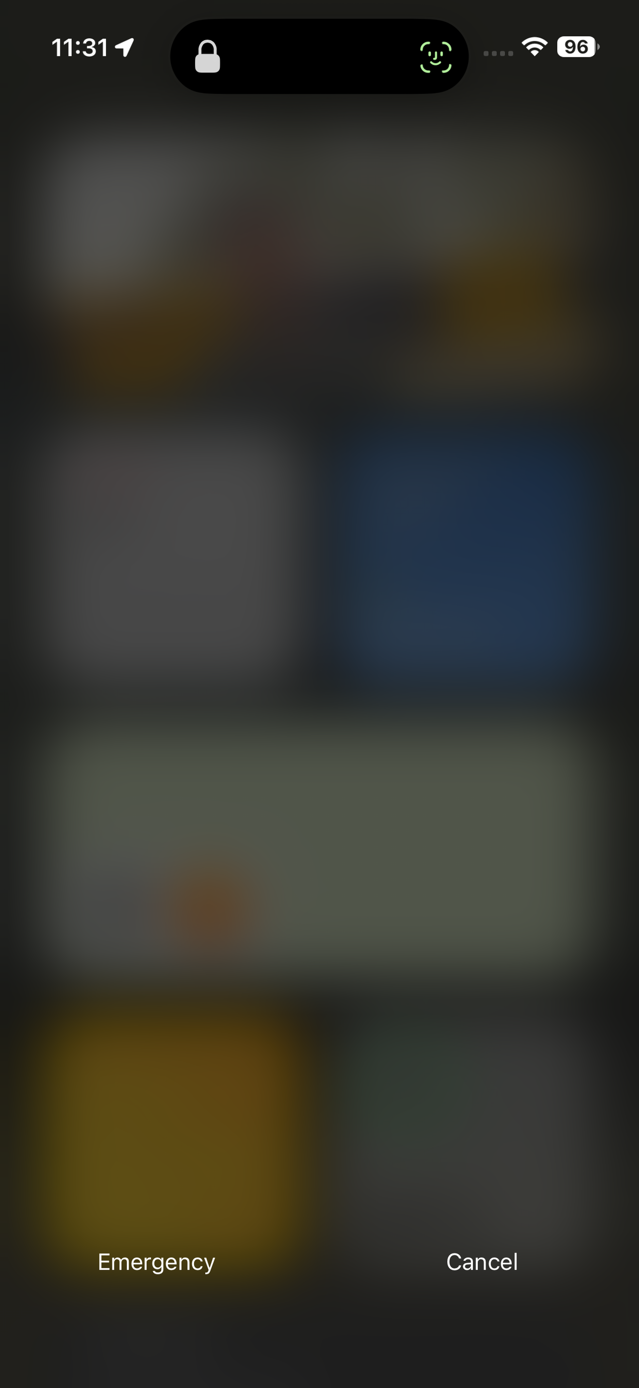 سوزوكي فرونكس