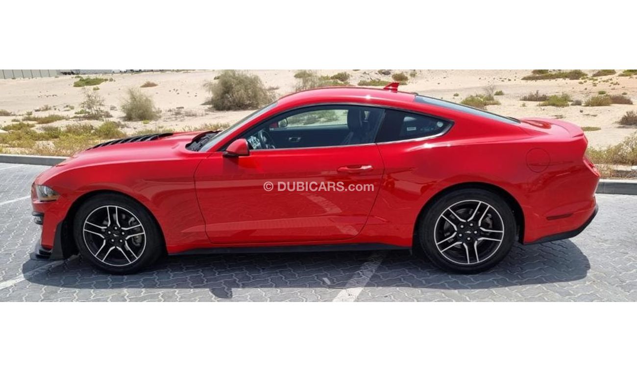 Ford Mustang EcoBoost With Shelby Kit Upgrade