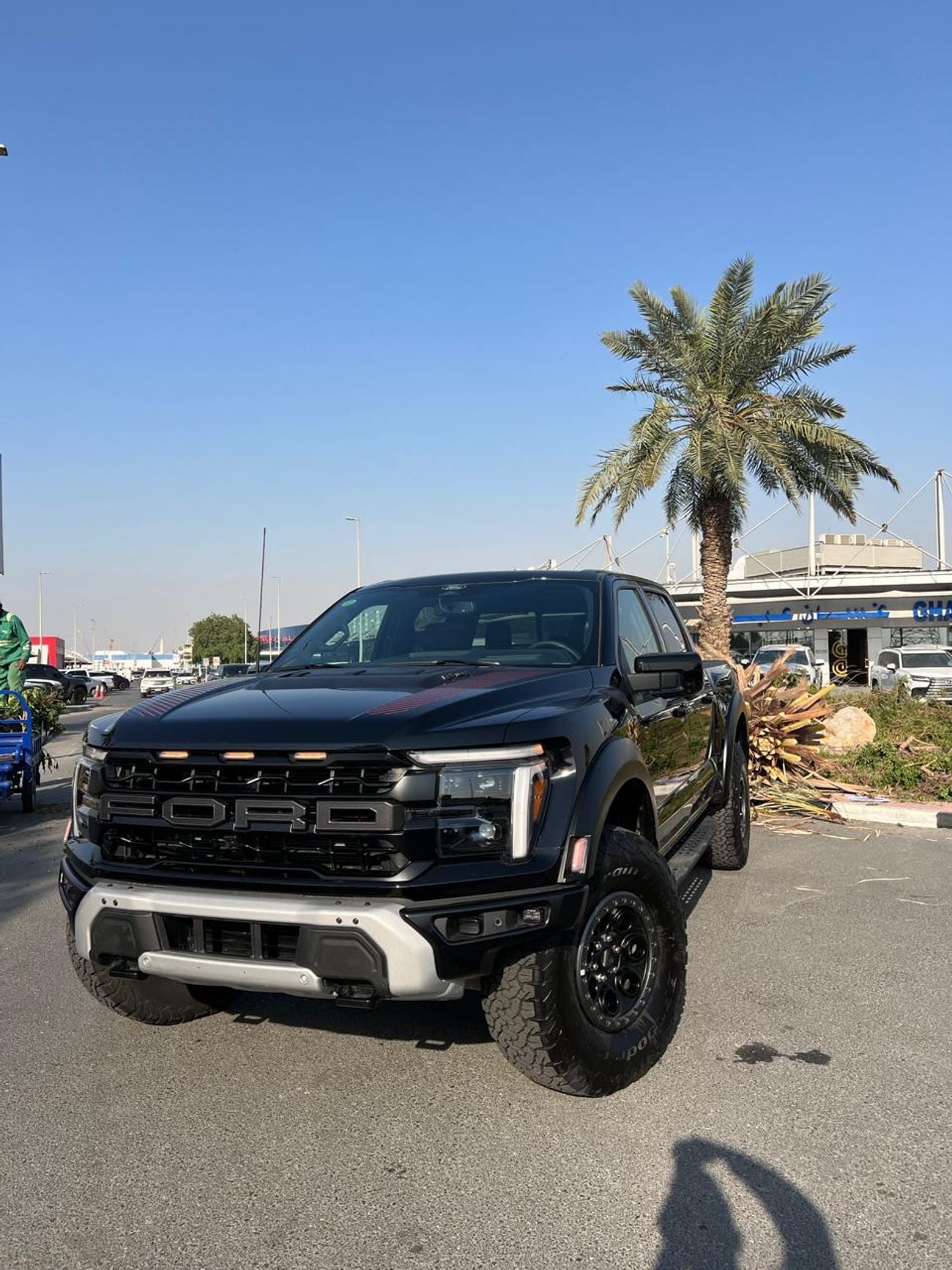 Ford F 150 Raptor