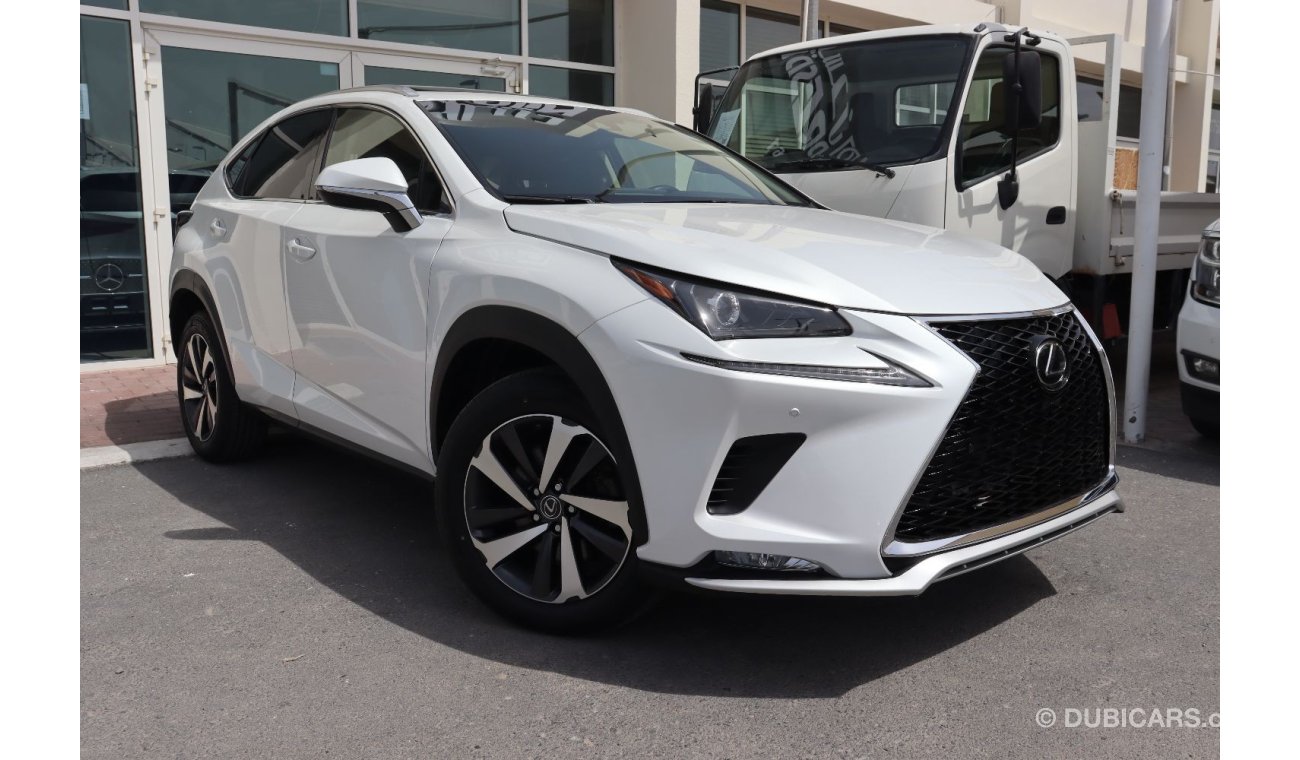 Lexus NX300 Premier Lexus NX300 2018 USA