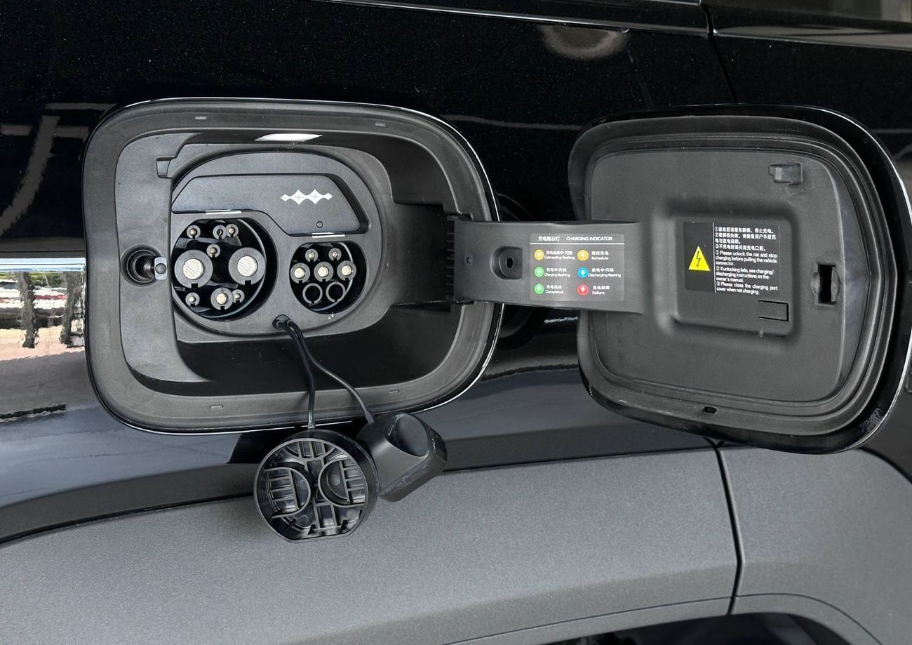 BYD Leopard 5 Navigator _ Ready for delivery