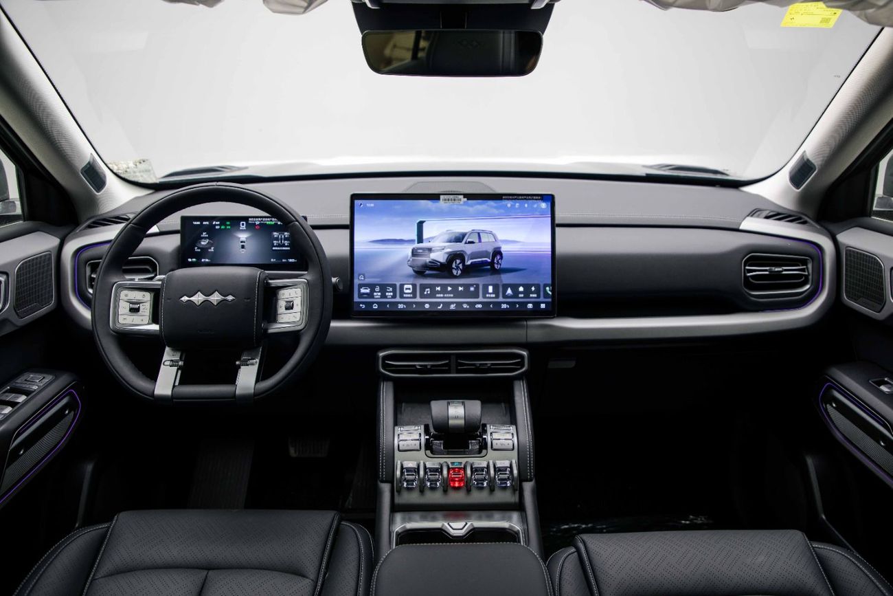 BYD Leopard Titanium 3 ID Ultra - Silver Inside Black | Export Only