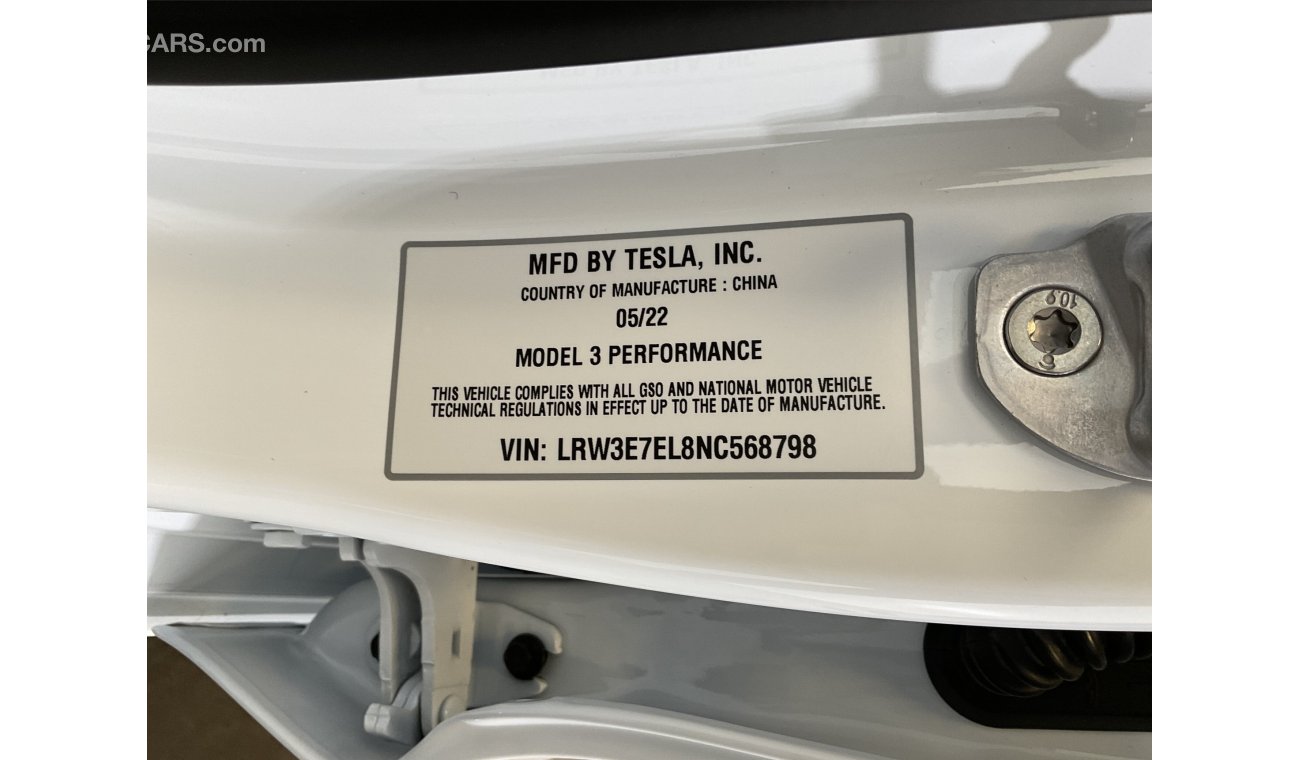 Tesla Model 3 Performance (Dual Motor)