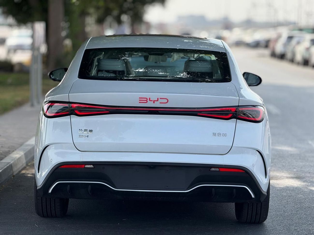 بي واي دي سيل 06 دي إم-آي SEAL 06 DMI