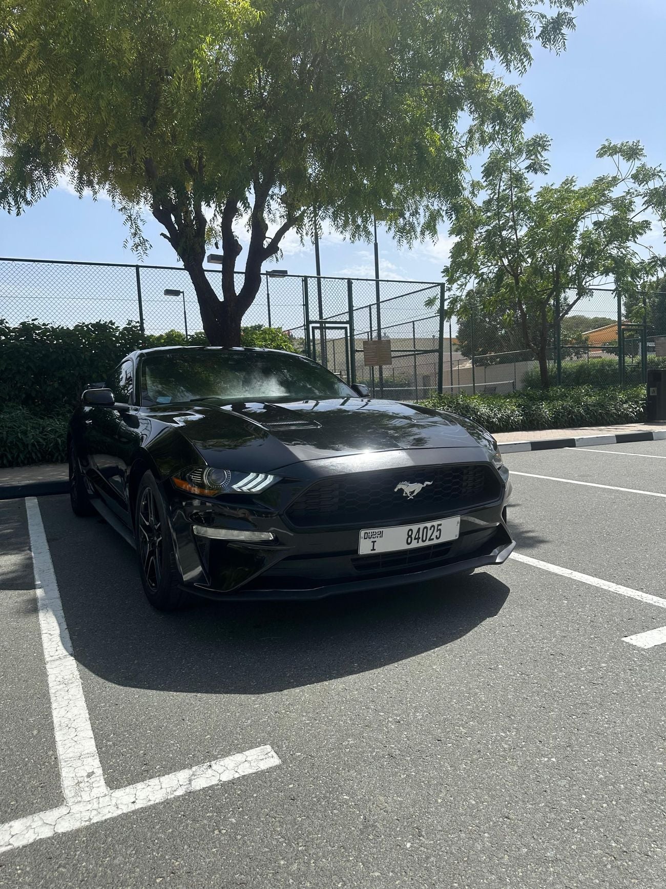 Ford Mustang Ecoboost