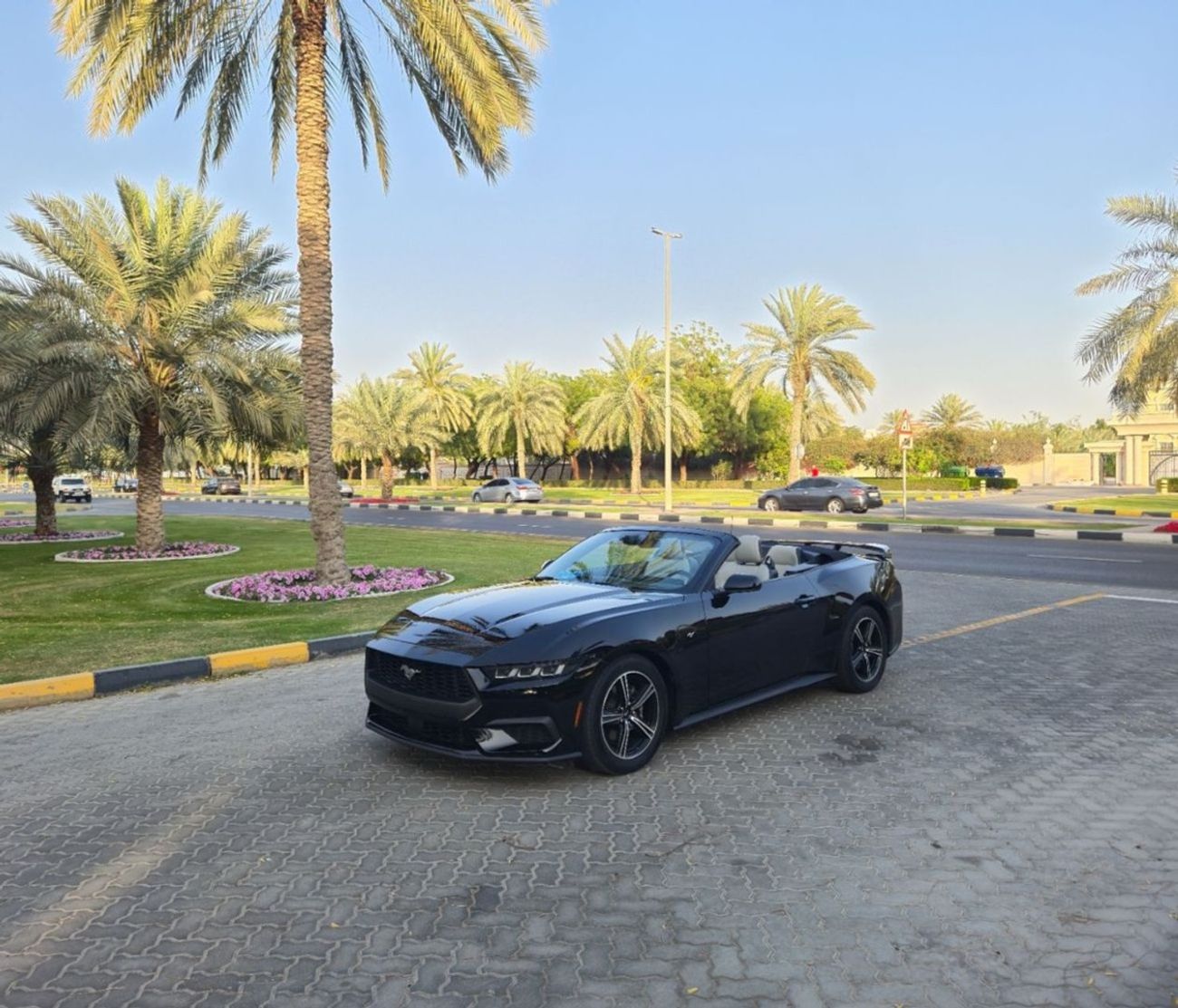 Ford Mustang EcoBoost 2.3L Convertible A/T
