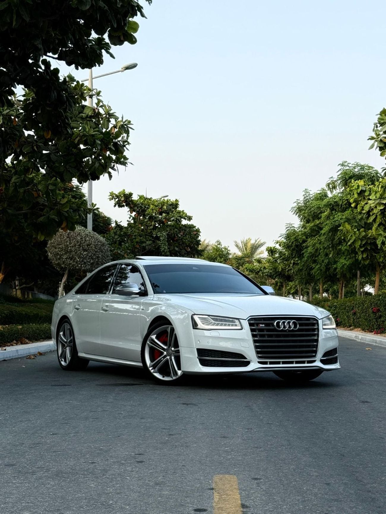 Audi S8 TOP