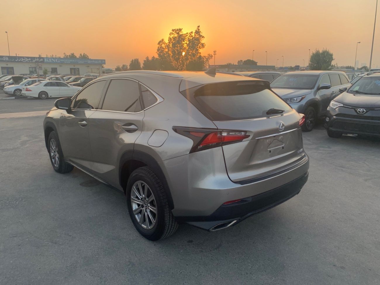 Lexus NX300 NX 300 2019