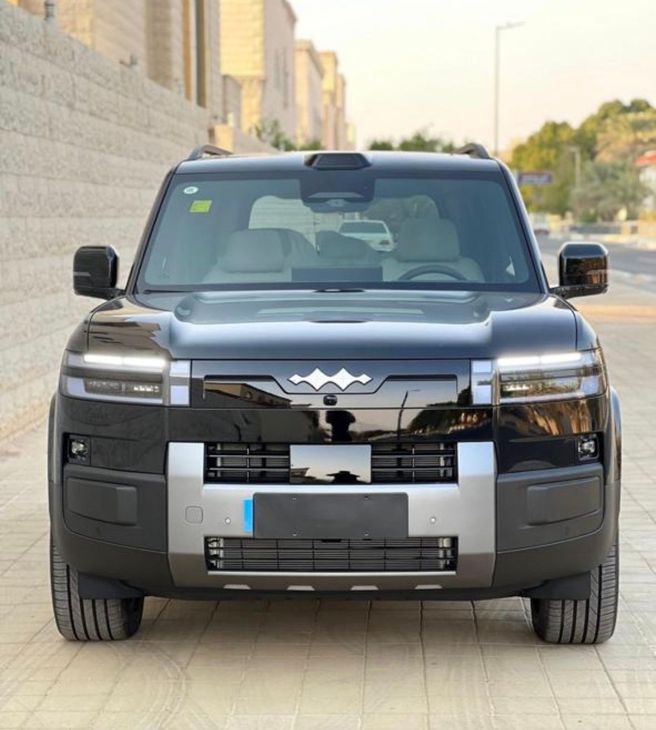 BYD Leopard Titanium 7