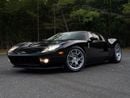 Ford GT Rare 1 of 14 Stripe Delete