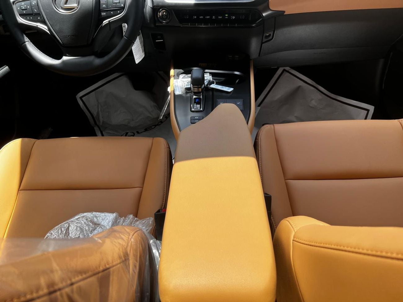 Lexus UX300h