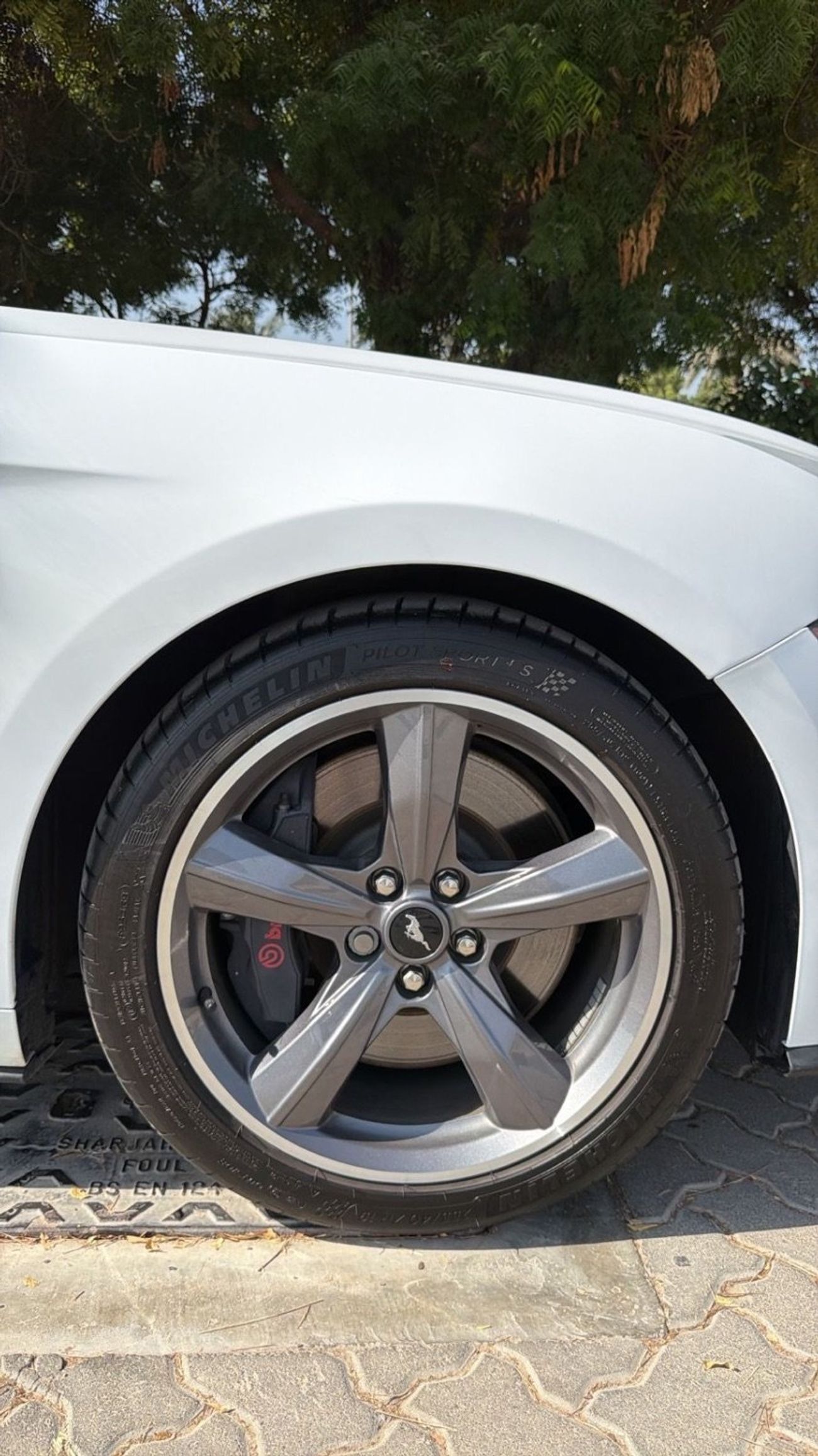 Ford Mustang GT California Special 5.0L (435 HP) Coupe A/T