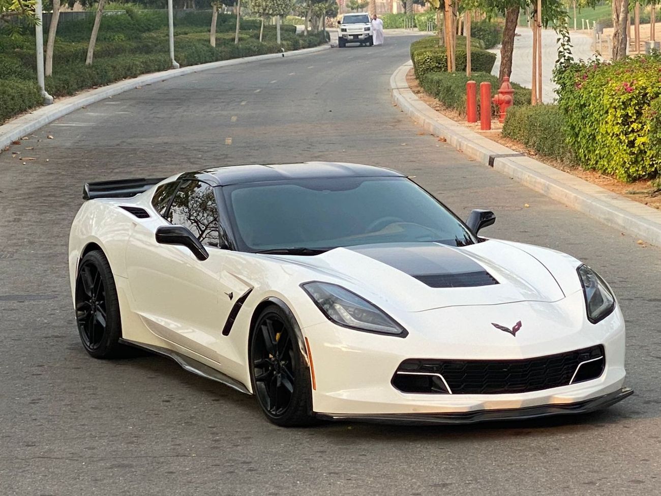 Chevrolet Corvette Z51 Competition SEats