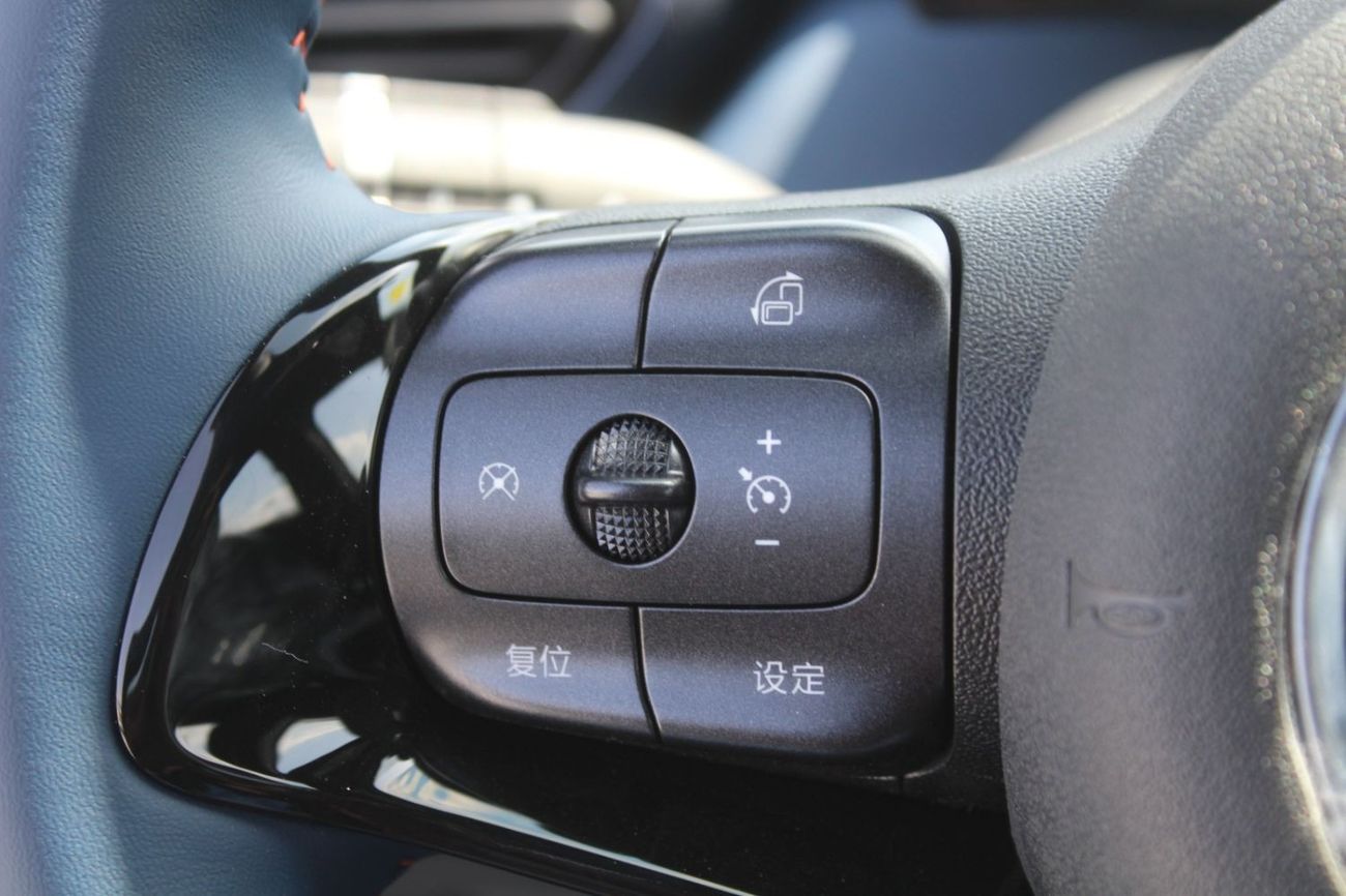 BYD Seagull Seagull Fully Electric 405 KM Range