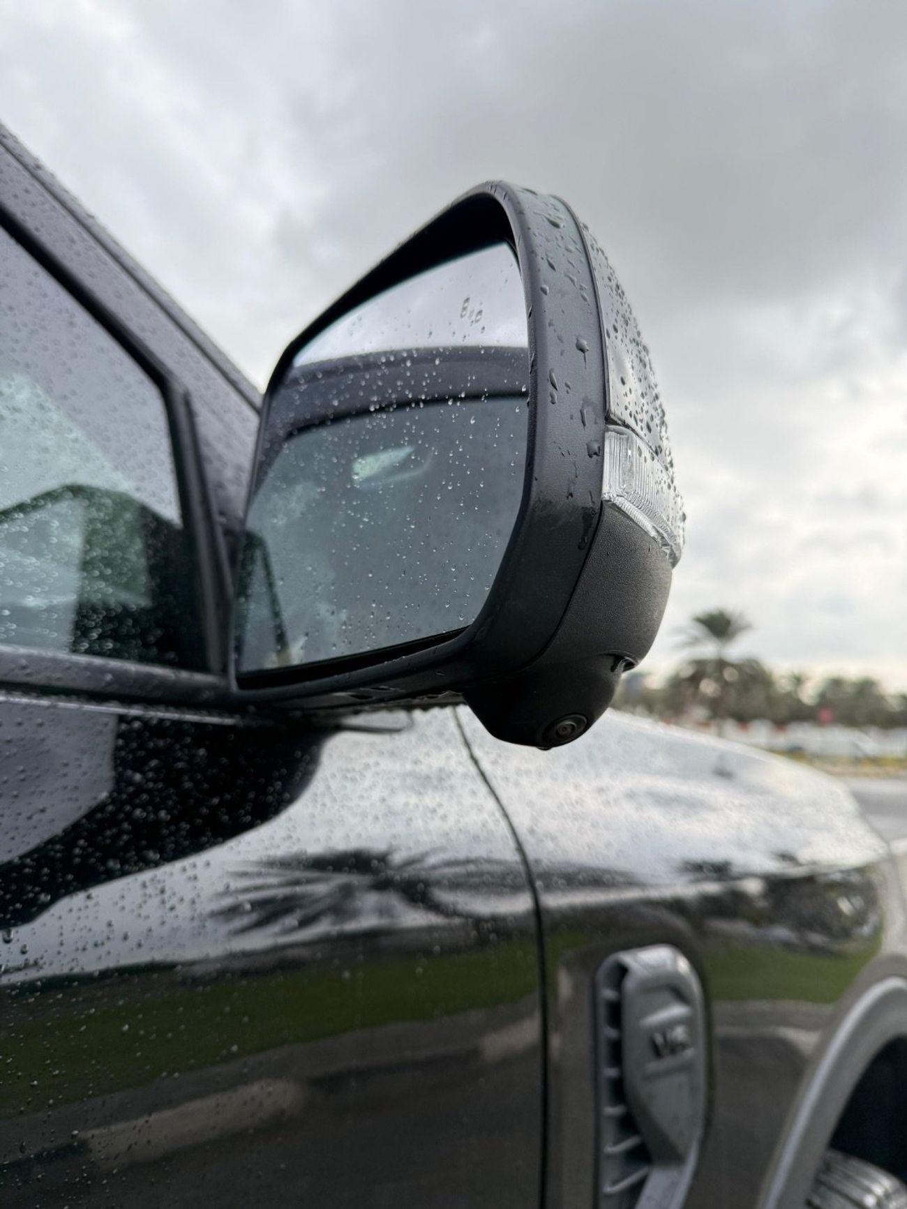 Ford Ranger Wildtrak 3.2L (197 HP) 4WD