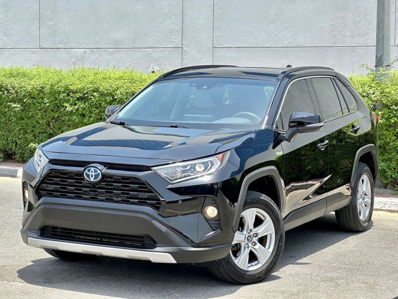 Toyota RAV4 2019 Toyota RAV4 XLE hybrid