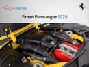 Ferrari Purosangue Ferrari Purosangue 2025 (Export Only)