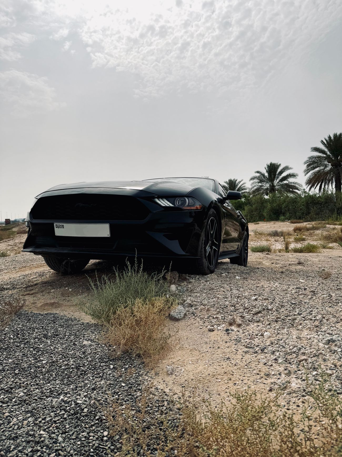 Ford Mustang Ecoboost Premium