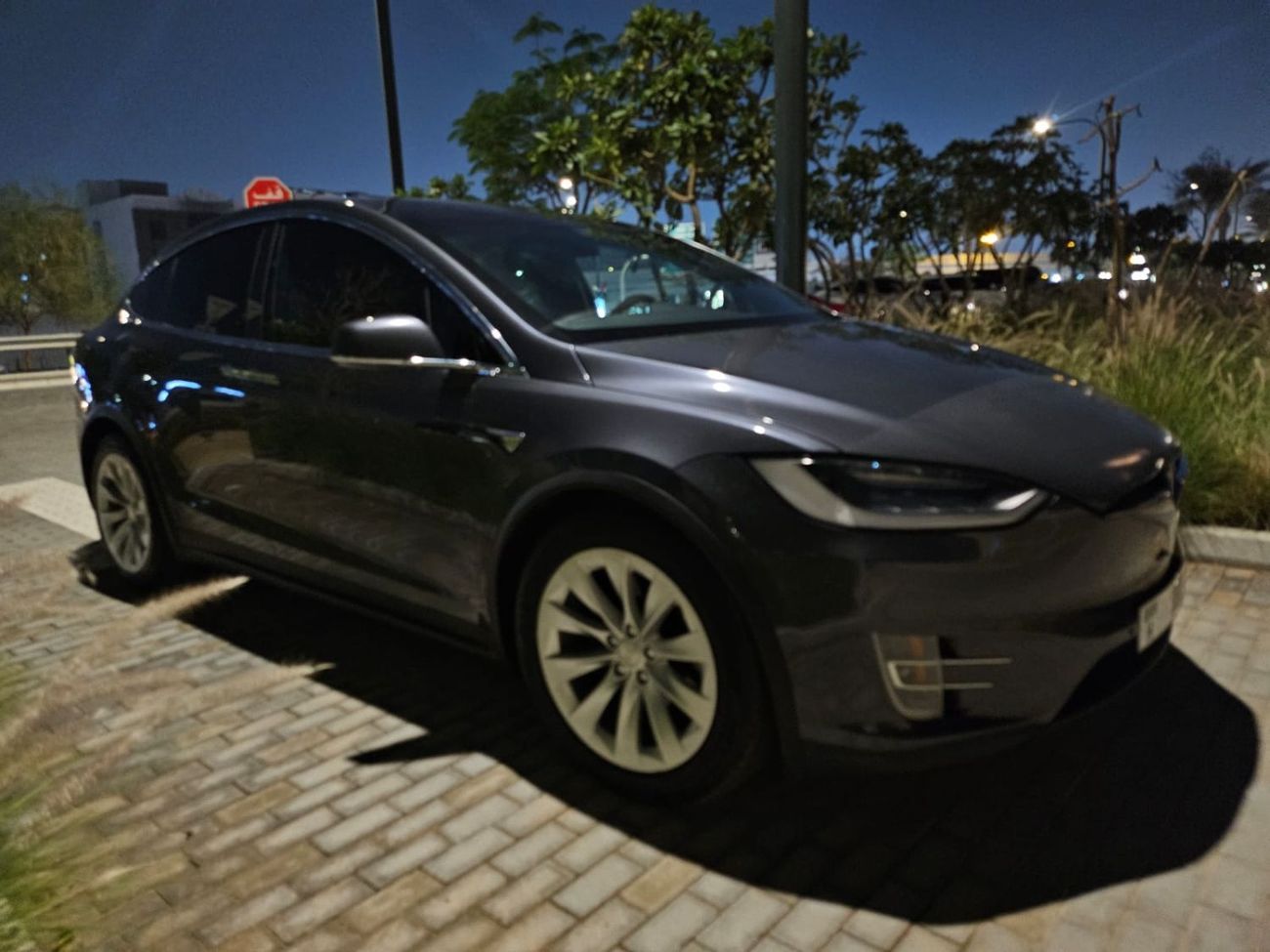 تسلا موديل اكس orignal paint