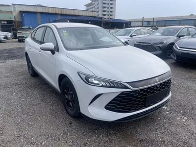 BYD QIN PLUS white-grey white-beige