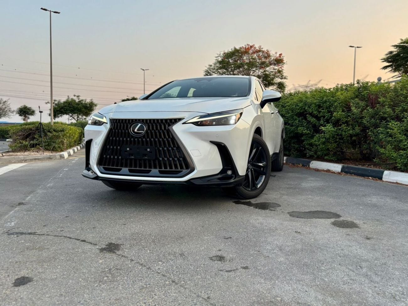 Lexus NX 350h HYBRID