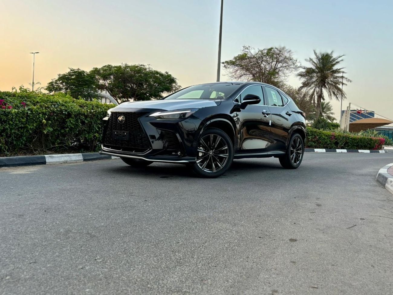 Lexus NX350