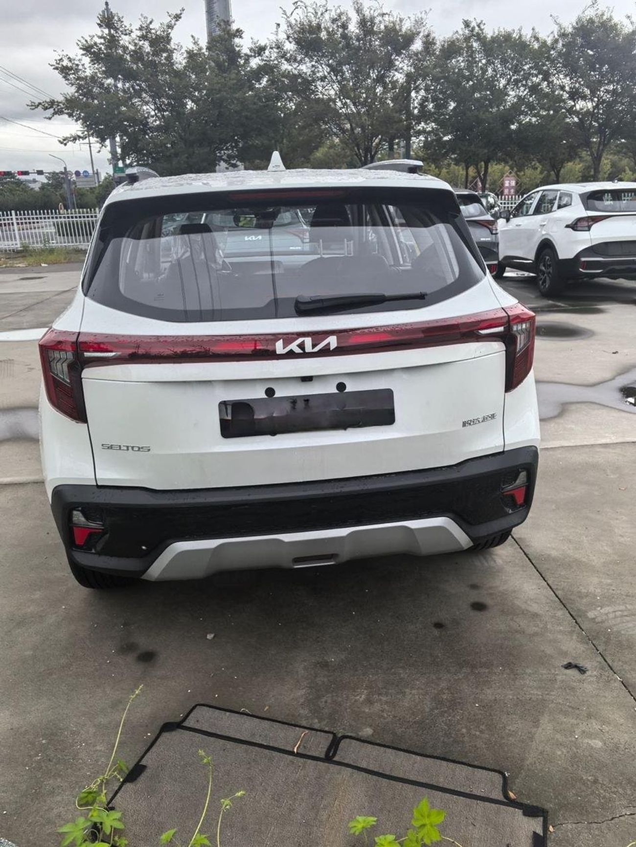 كيا سيلتوس Kia seltos / 2025 / white / 0km