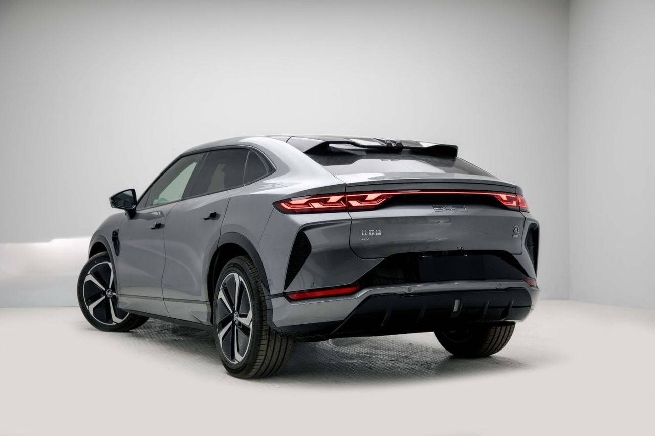 بي واي دي سونغ ل ID Laser Radar EXL - Grey Inside Tan | Export Only