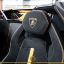 Lamborghini Aventador SVJ 6.5L V12 LAMBORGHINI AVENTADOR /SVJ/ ROADSTER/2021/9000KM