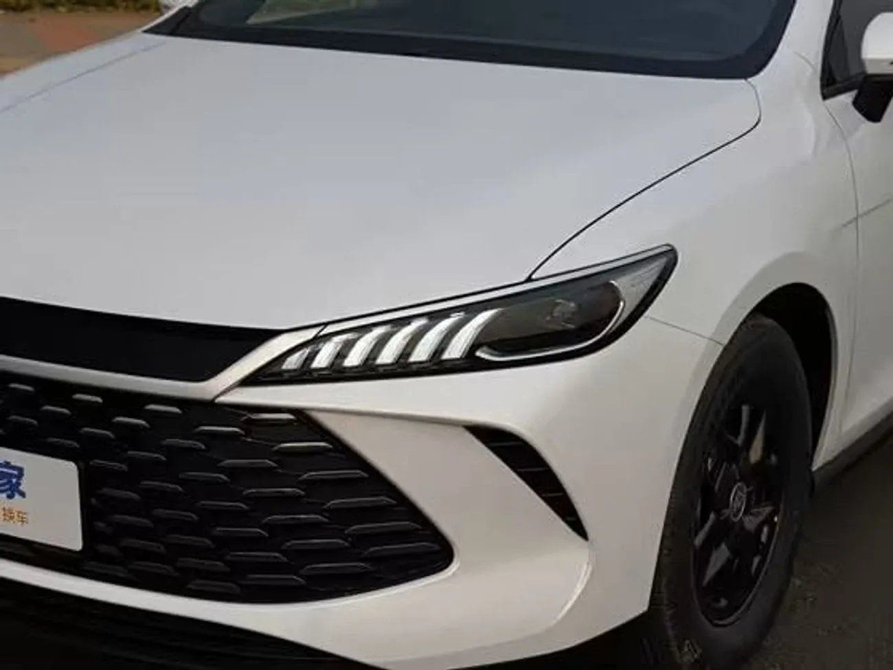 BYD QIN PLUS BYD QIN PLUS 1.5L DMI 55KM plug in Hybrid ( DUCAMZ )