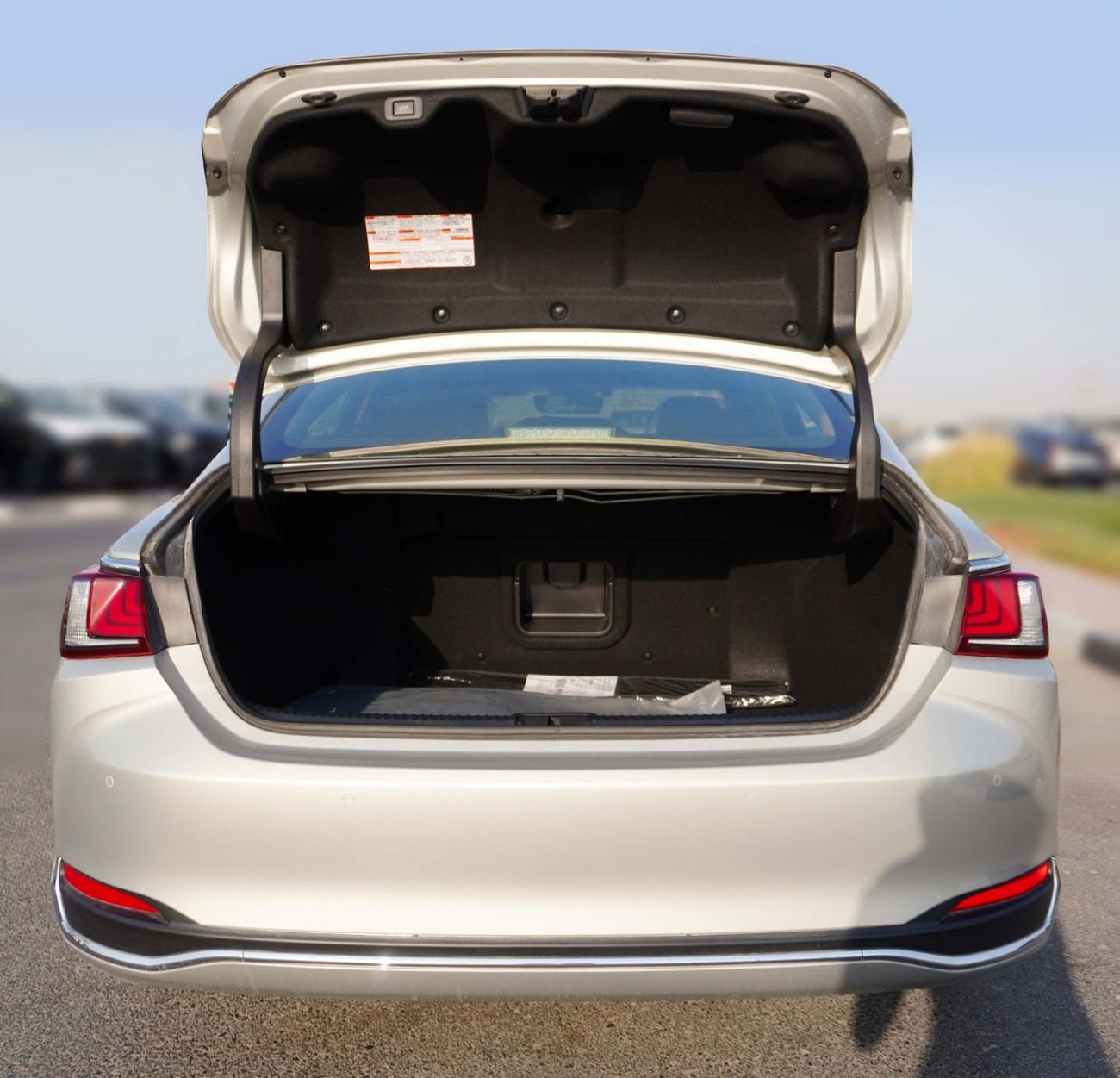 Lexus ES300h Lexus ES300H 2.5L, FWD, Automatic-2025