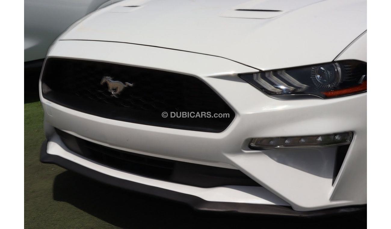 Ford Mustang Ford Mustang EcoBoost / 2020 / USA