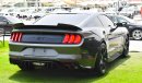 Ford Mustang GT 5.0