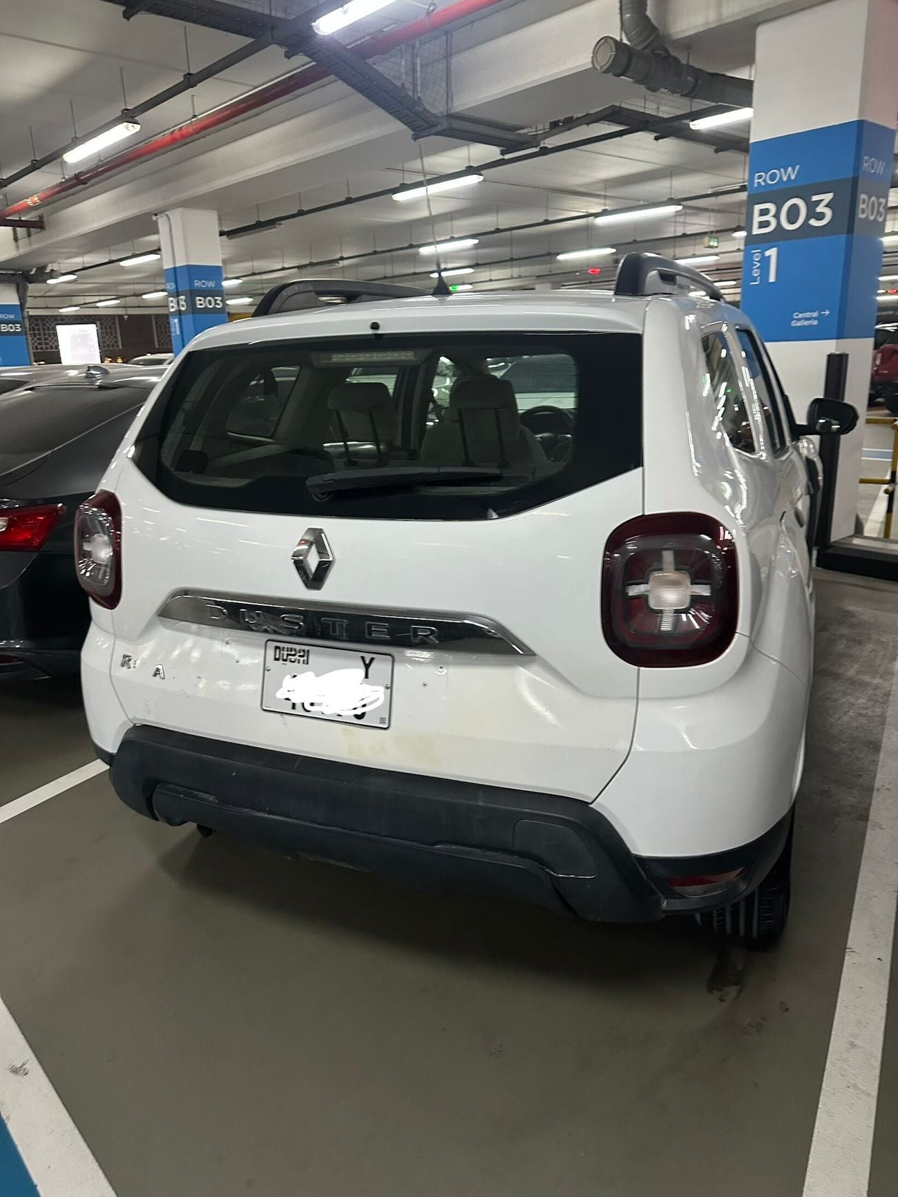 Renault Duster LE