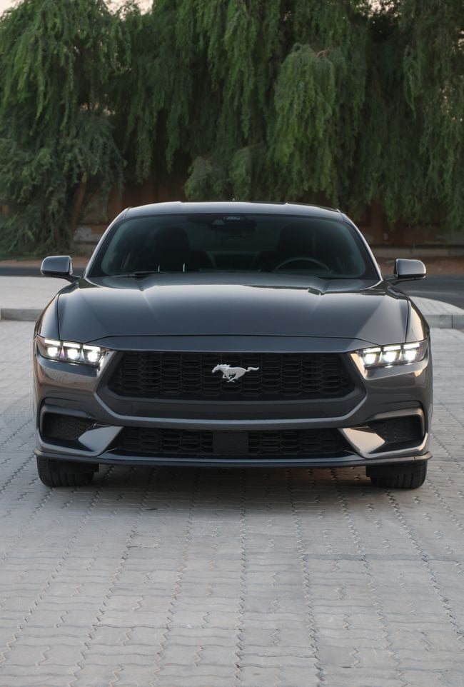 Ford Mustang STANDARD, миниатюра 19