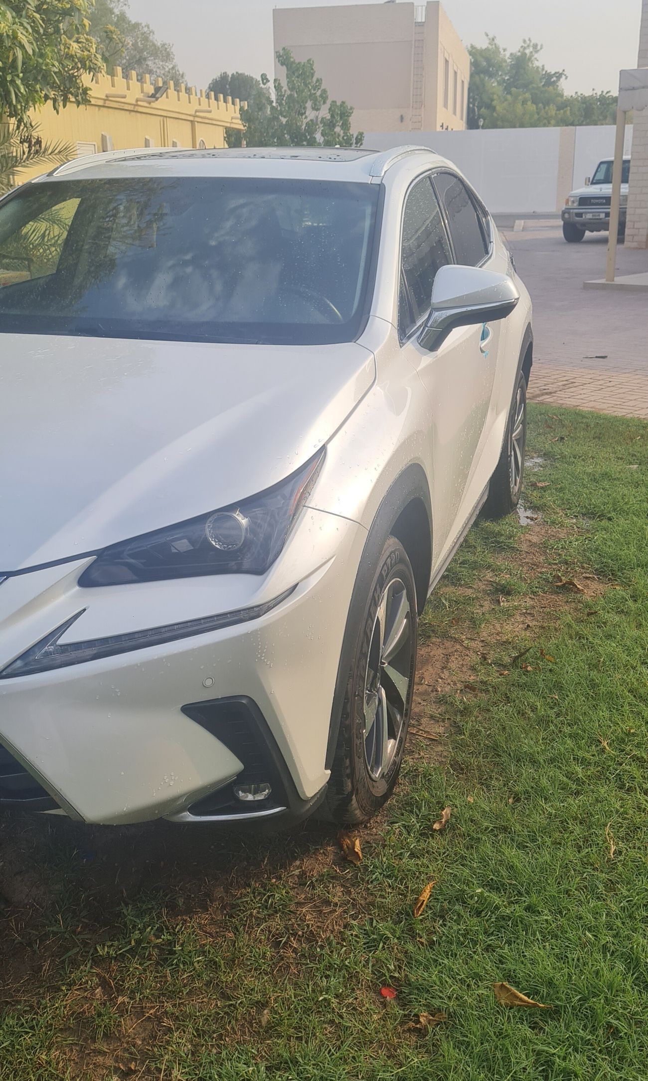Lexus NX300