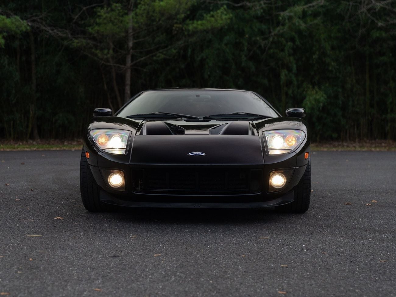 Ford GT Rare 1 of 14 Stripe Delete