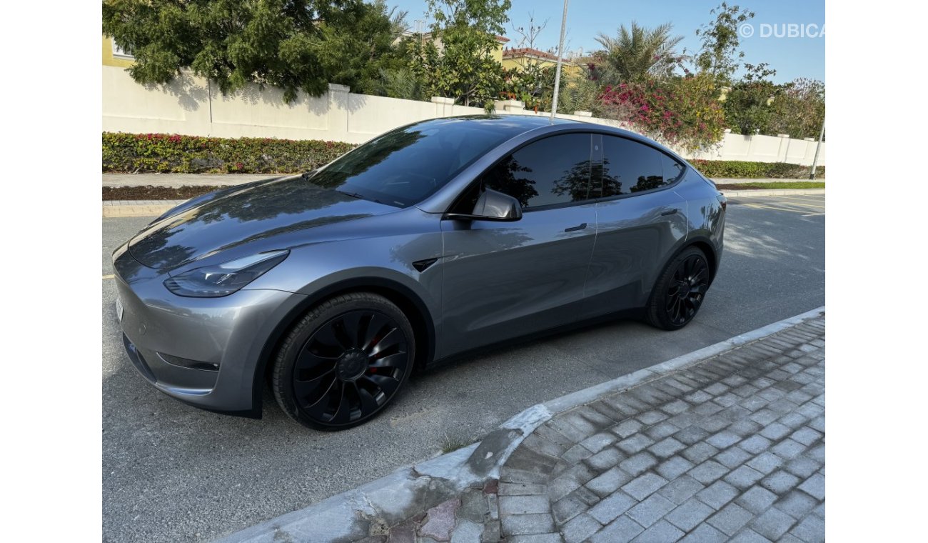 Tesla Model Y Performance