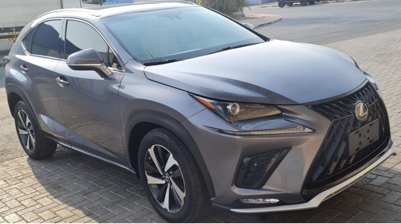 Lexus NX300 F Sport 2.0L