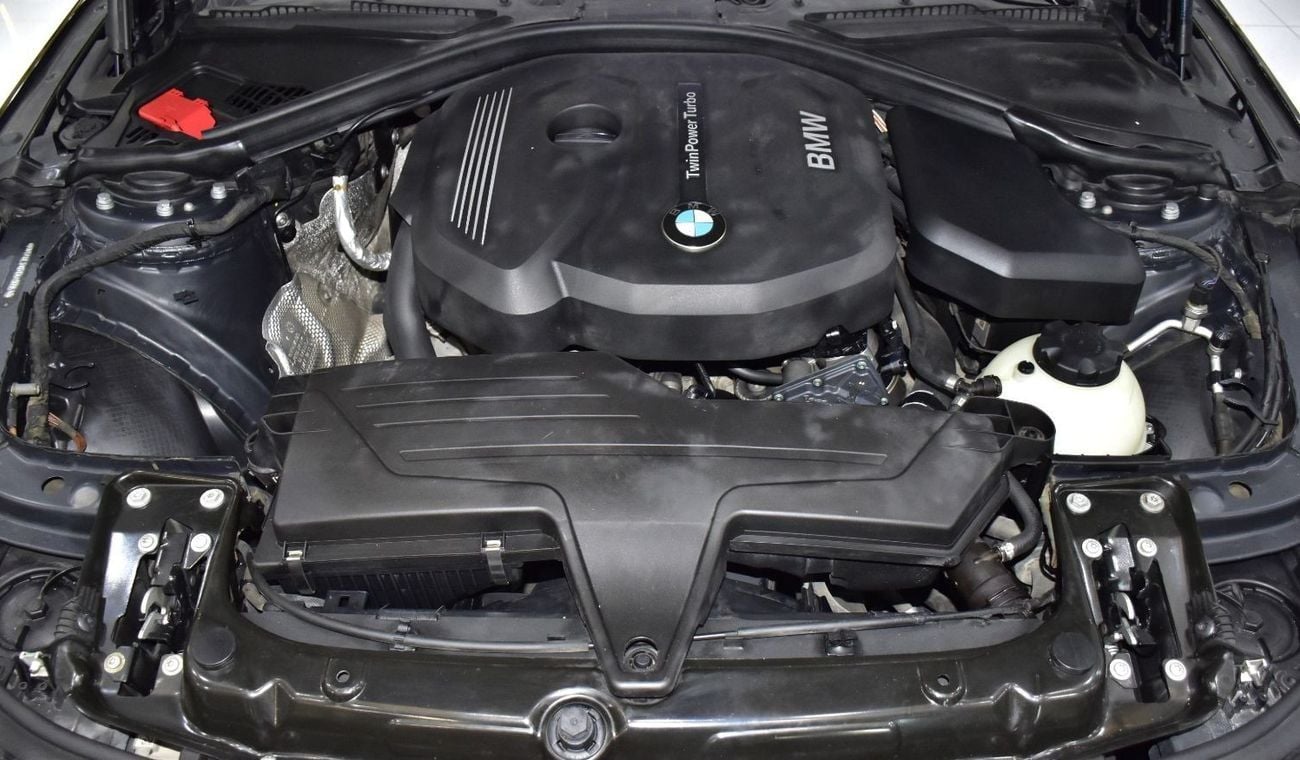 BMW 318i EXCELLENT DEAL for our BMW 318i ( 2016 Model ) in Black Color GCC Specs