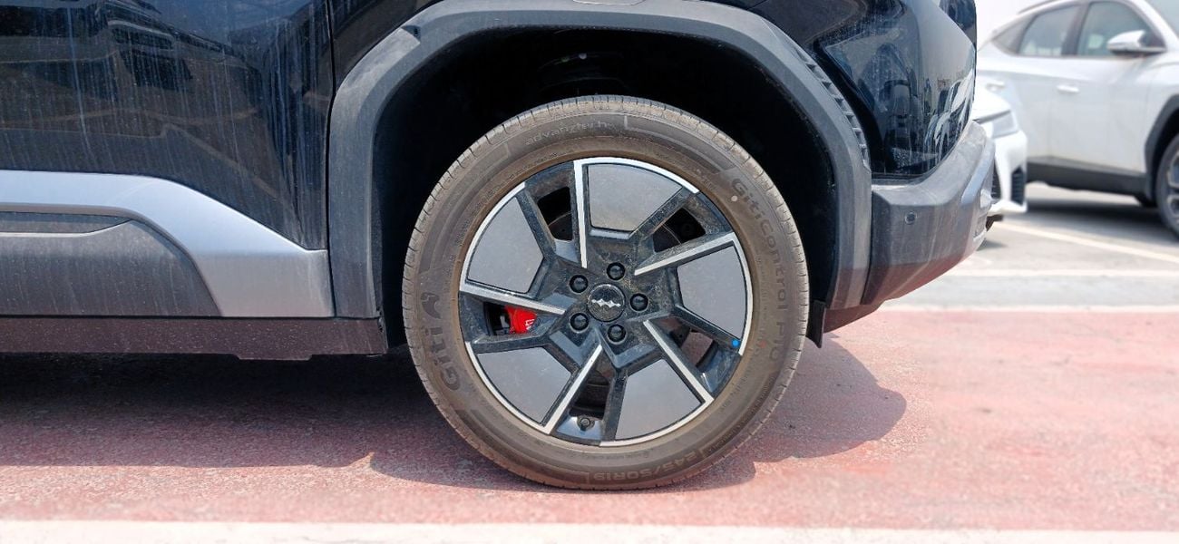 بي واي دي Leopard 3 TITANIUM 501km Range 2025YM