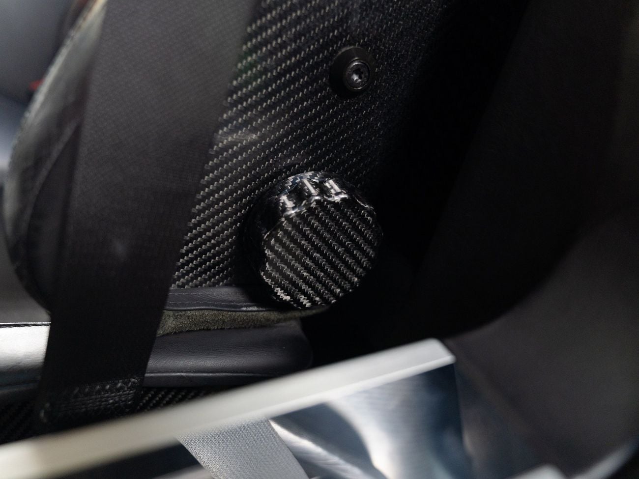 Ford GT Rare 1 of 14 Stripe Delete