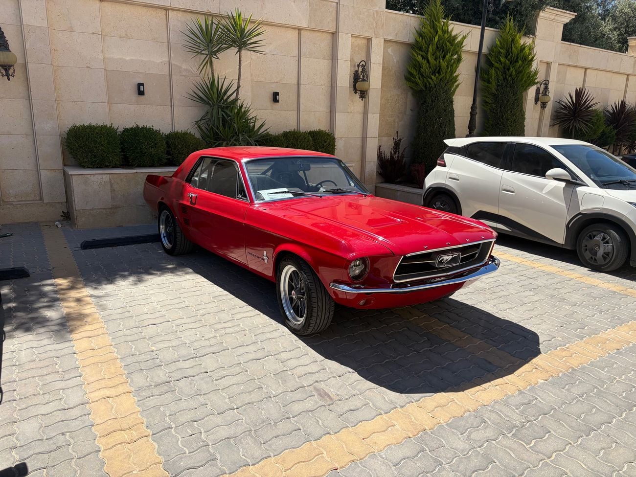 فورد موستانج STD