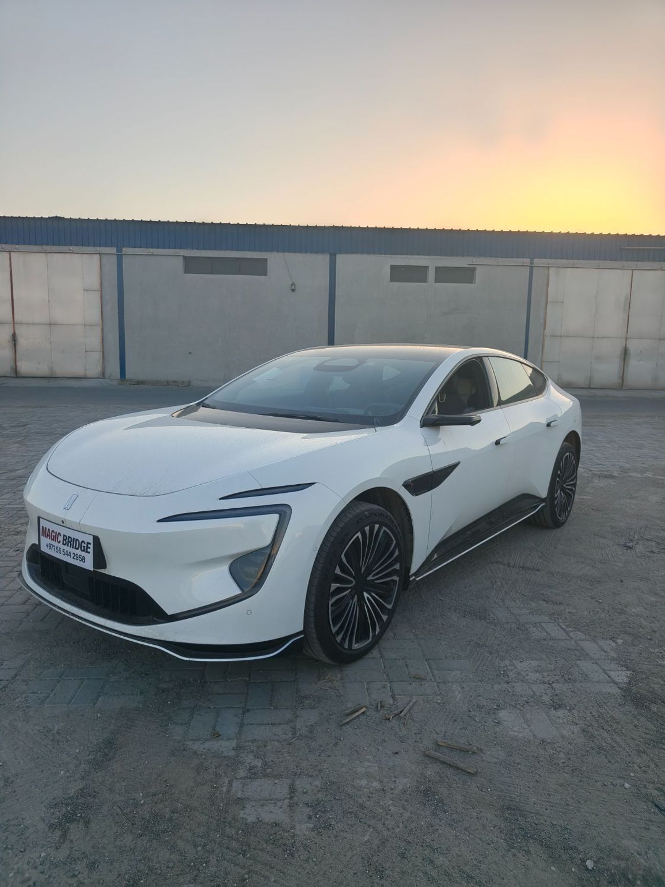 أفاتر 12 أفاتار 12 4WD ماستر سيارة كهربائية بالكامل